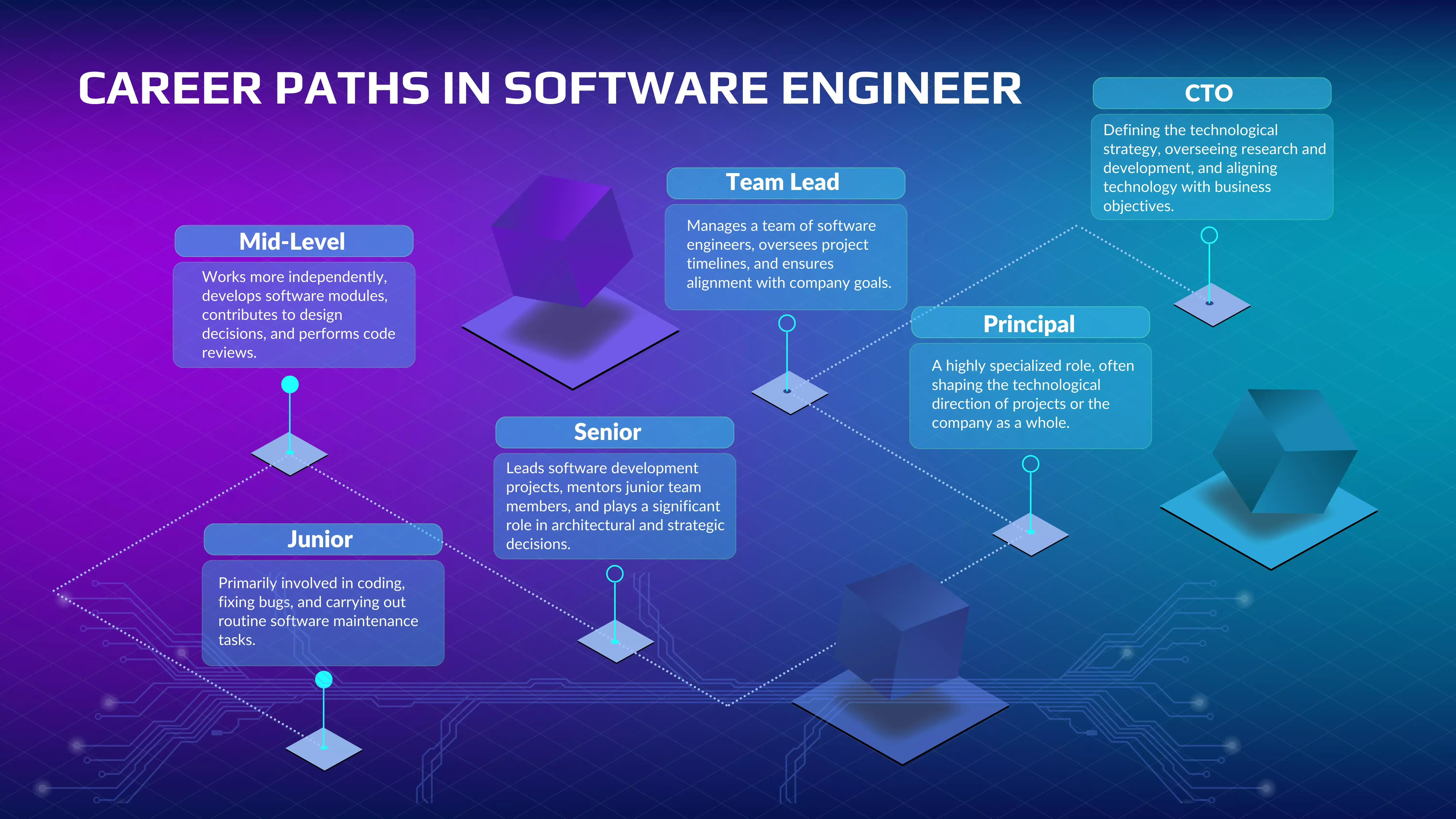 Senior Software Engineer Career Path in 2024
